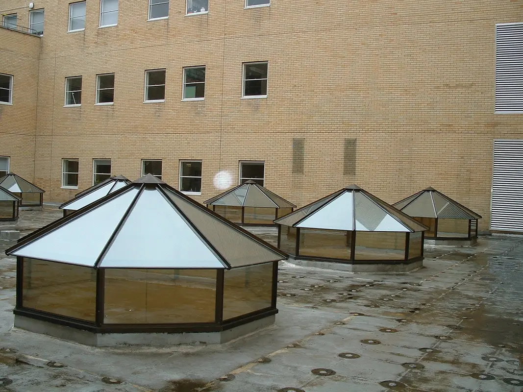 Flat Roof Skylights Clapham